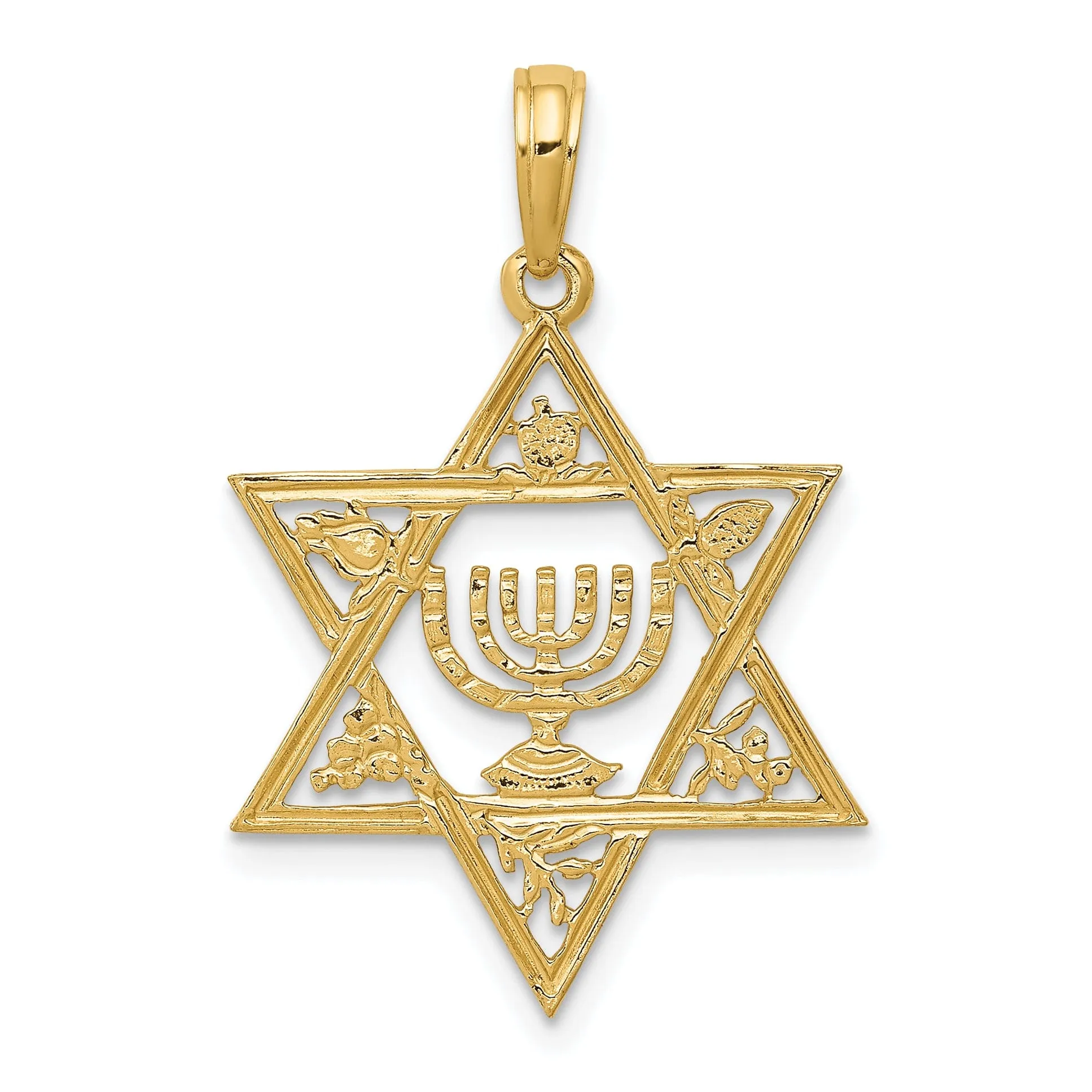 14K Yellow Gold Polished Star of David with Menorah Pendant