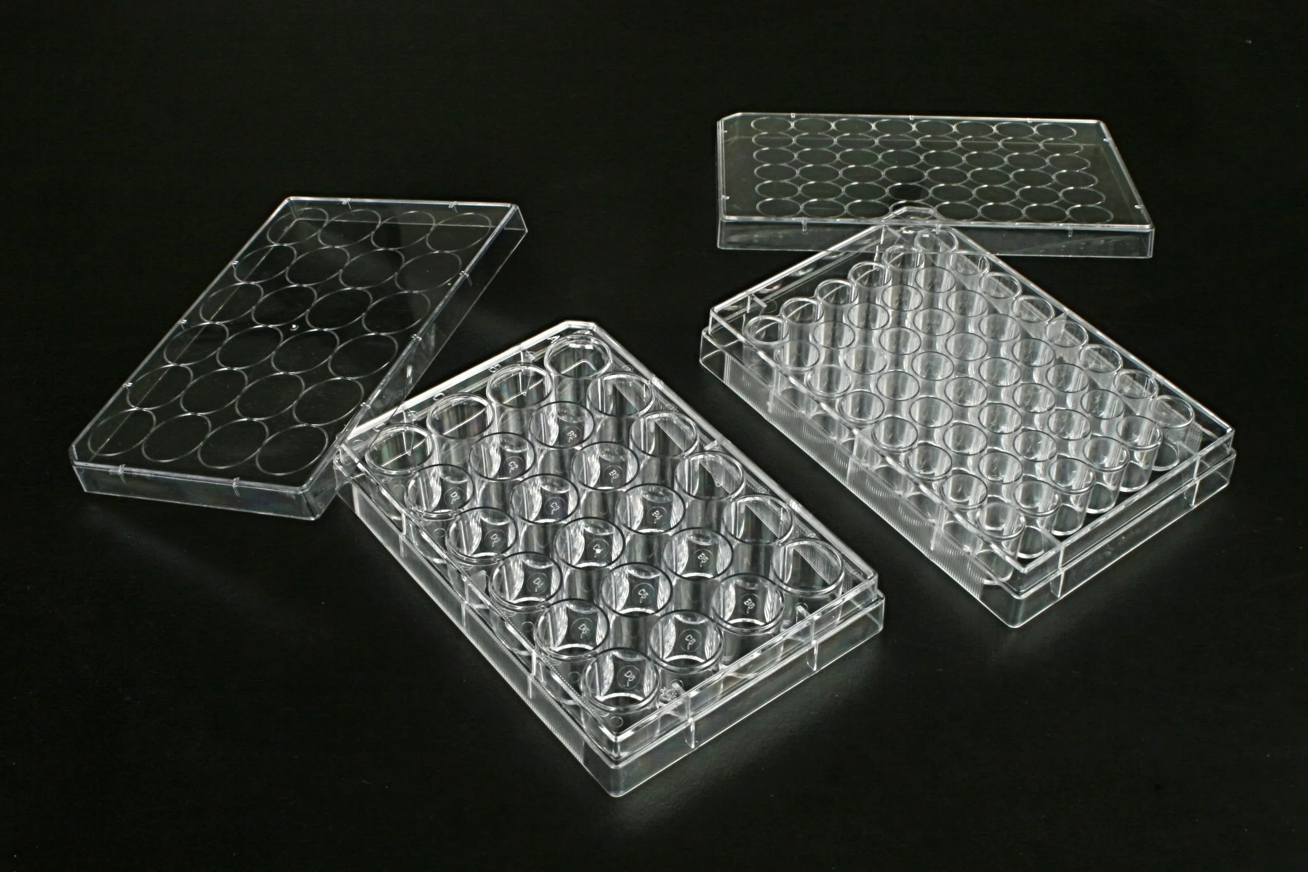24 Well Multi Well Cell  Culture Plates, 1 plate/bag, 100/cs
