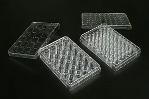 24 Well Multi Well Cell  Culture Plates, 1 plate/bag, 100/cs