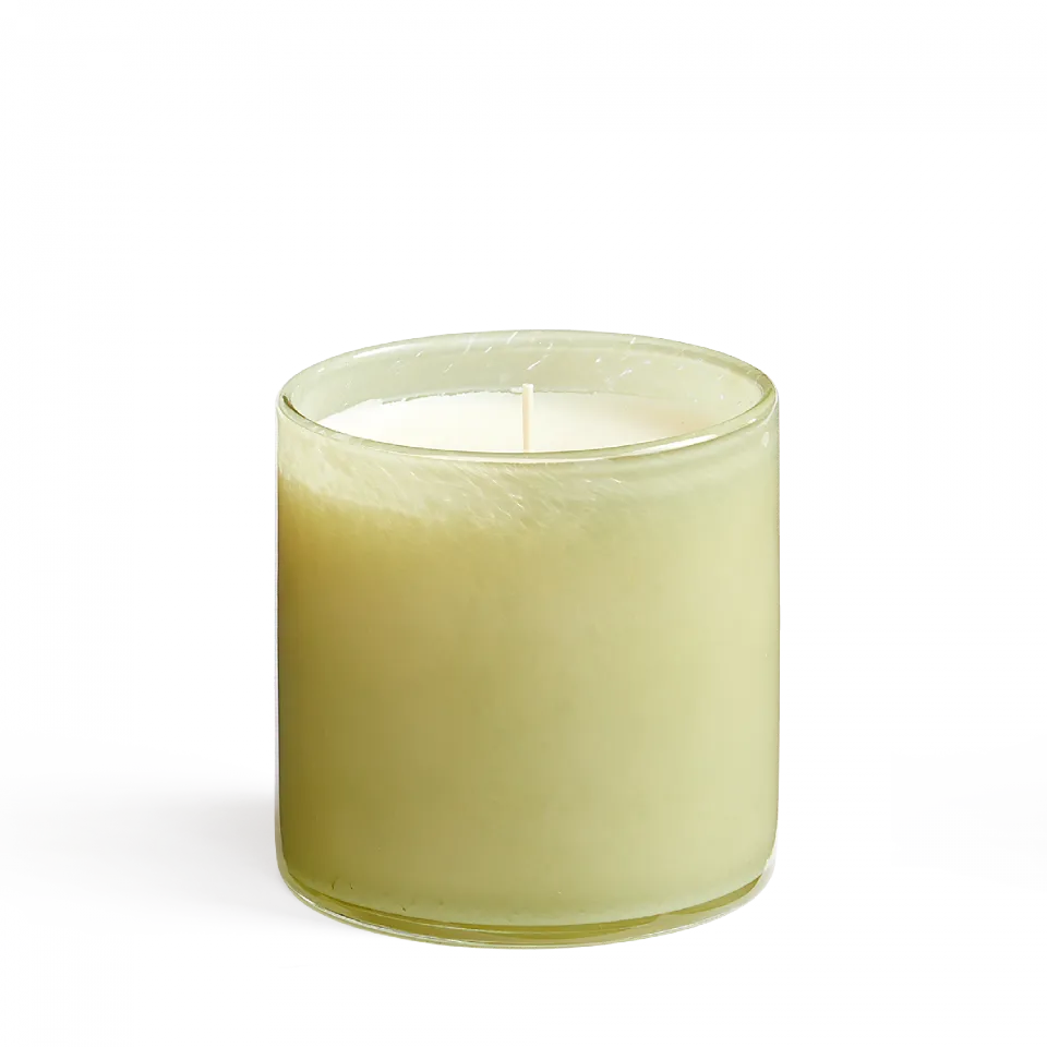 6.5oz Wild Honeysuckle Classic Candle