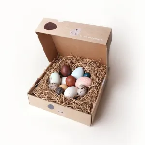 A Dozen Bird Eggs in a Box