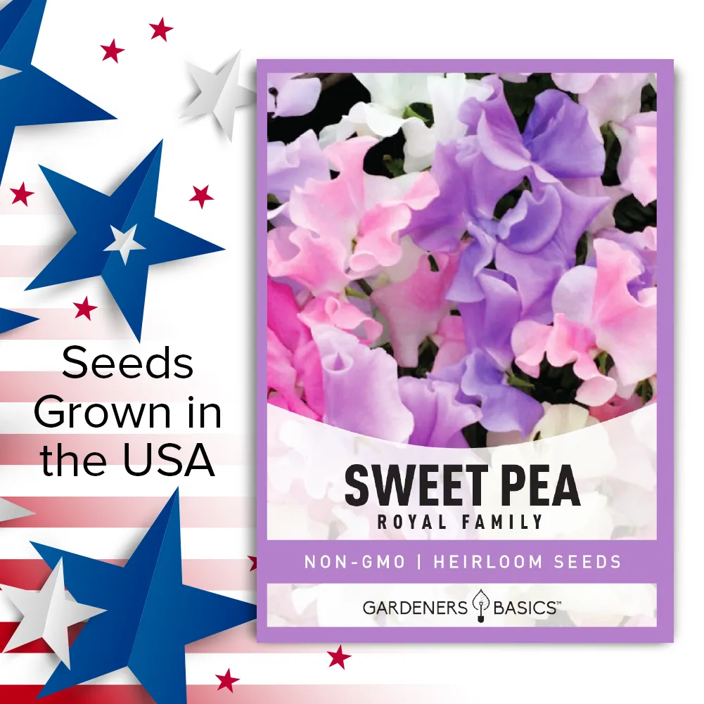 Annual Sweet Pea Royal Family Mix Seeds