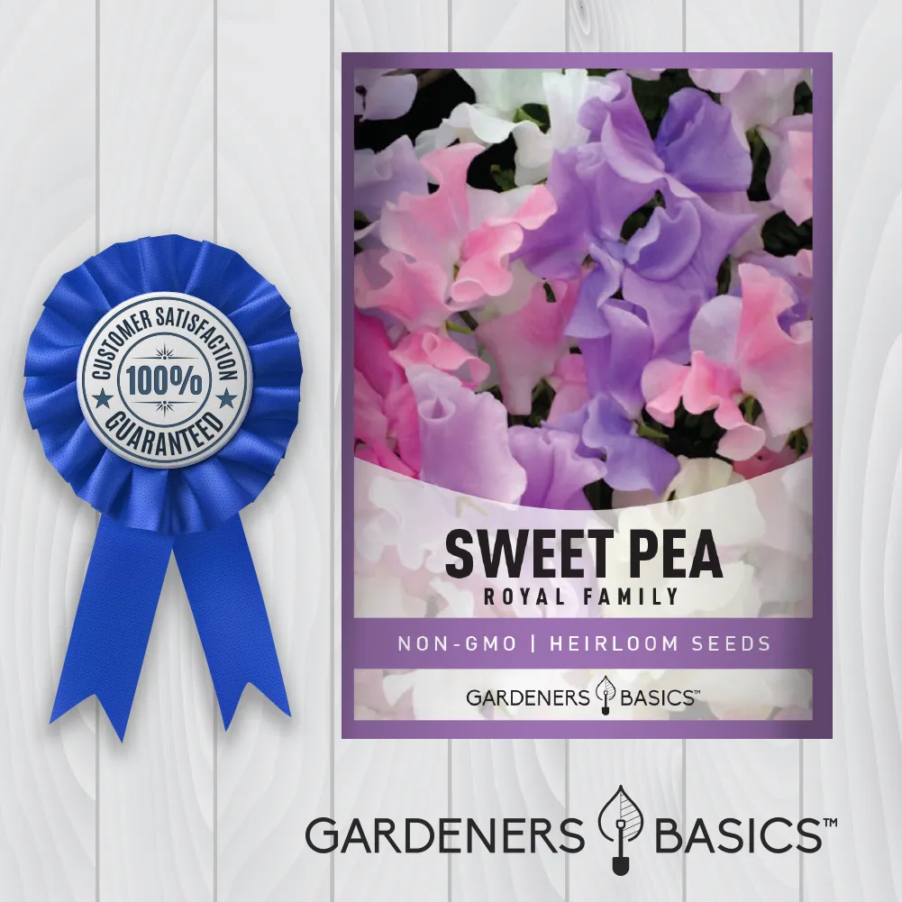 Annual Sweet Pea Royal Family Mix Seeds