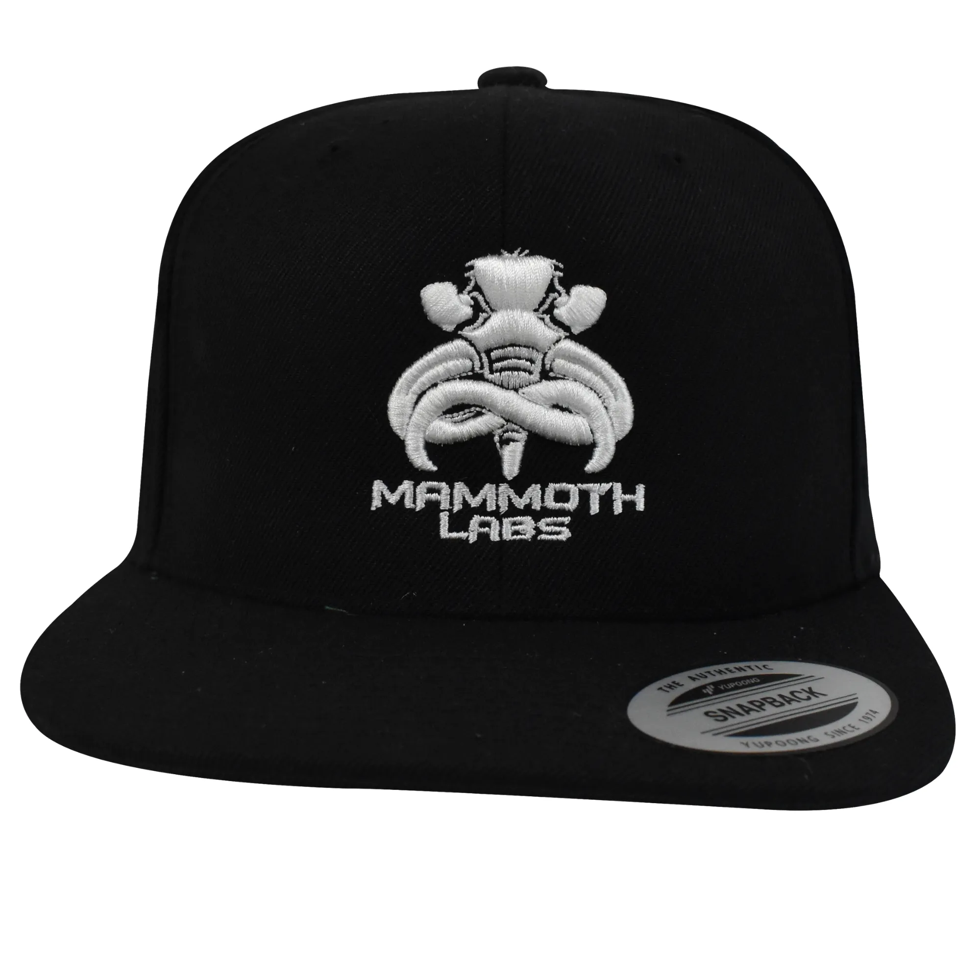 Away Snapback Hat