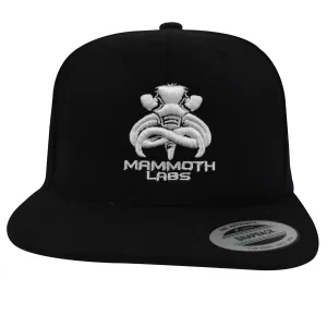 Away Snapback Hat