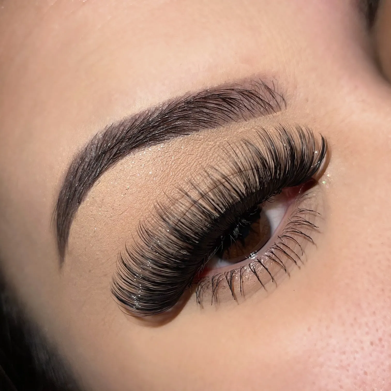 BBC Lash book