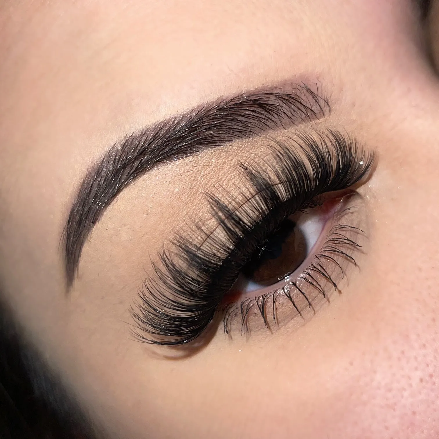BBC Lash book