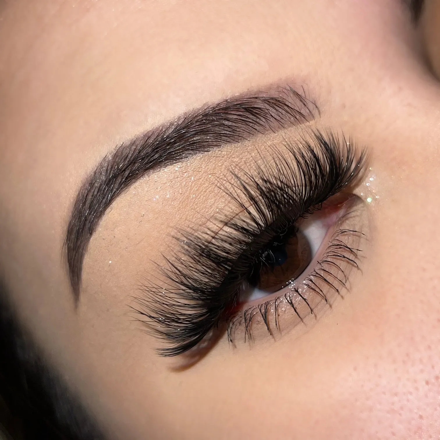 BBC Lash book