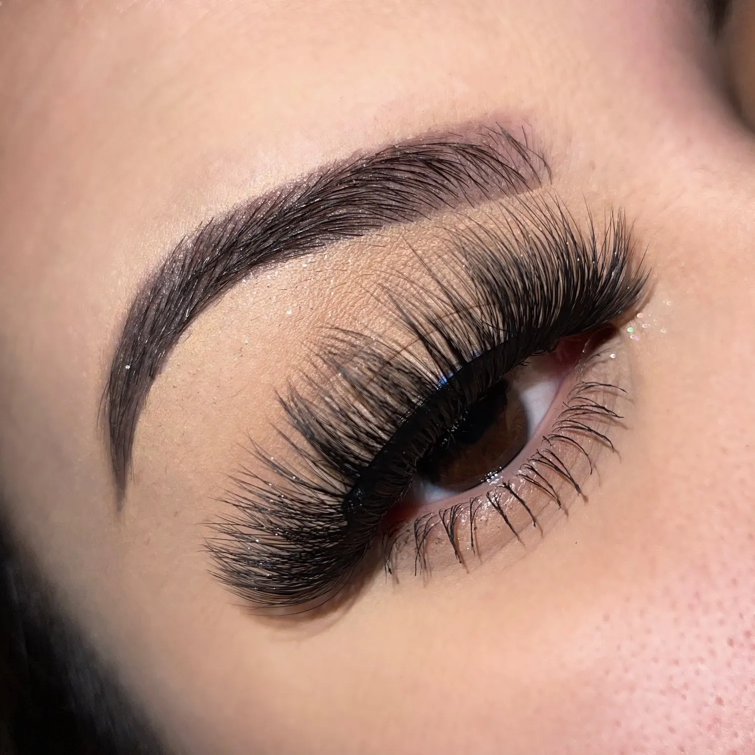 BBC Lash book