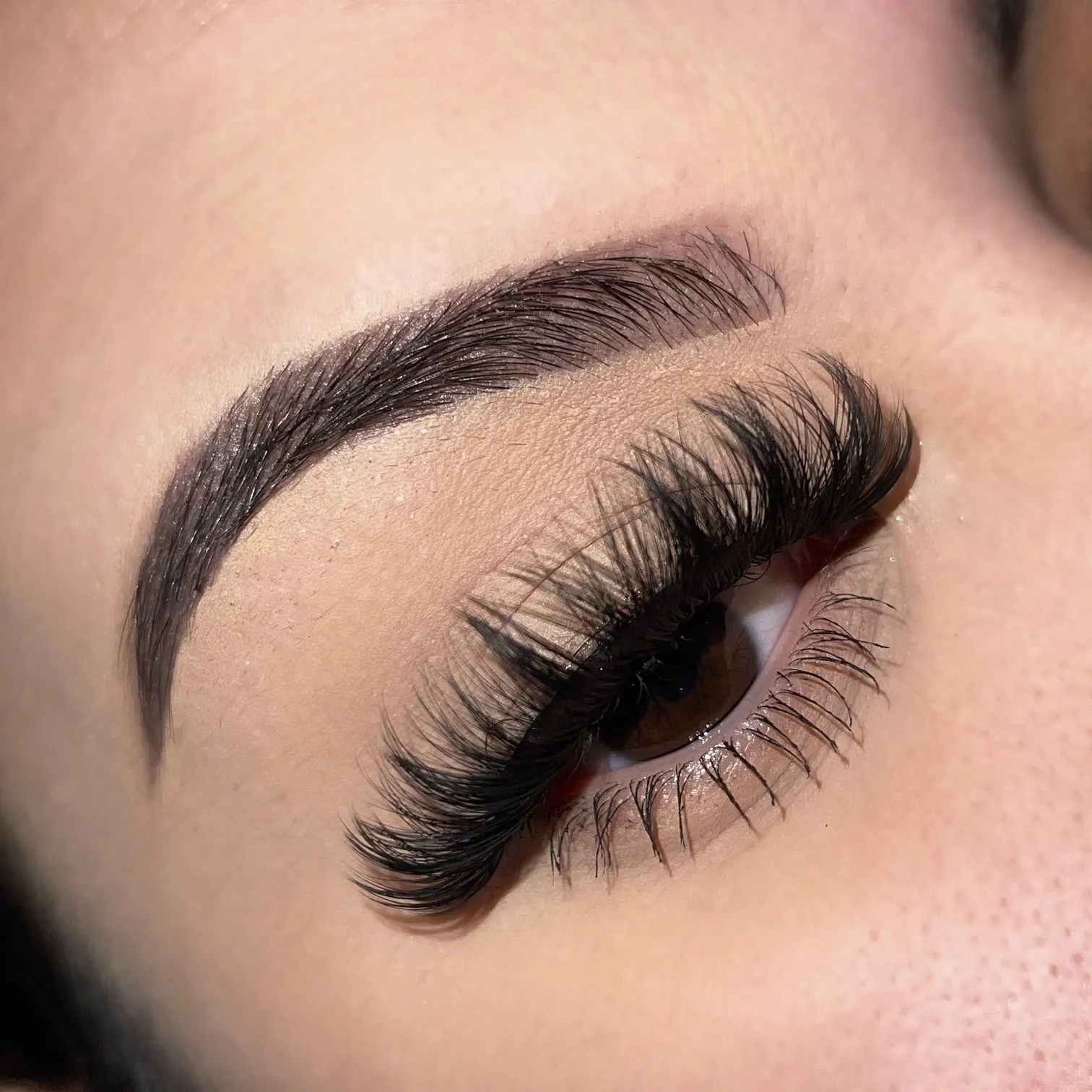 BBC Lash book