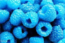 Blue Razzberry 0-5 Nic