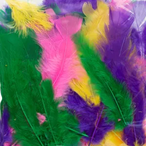 Bright Feathers