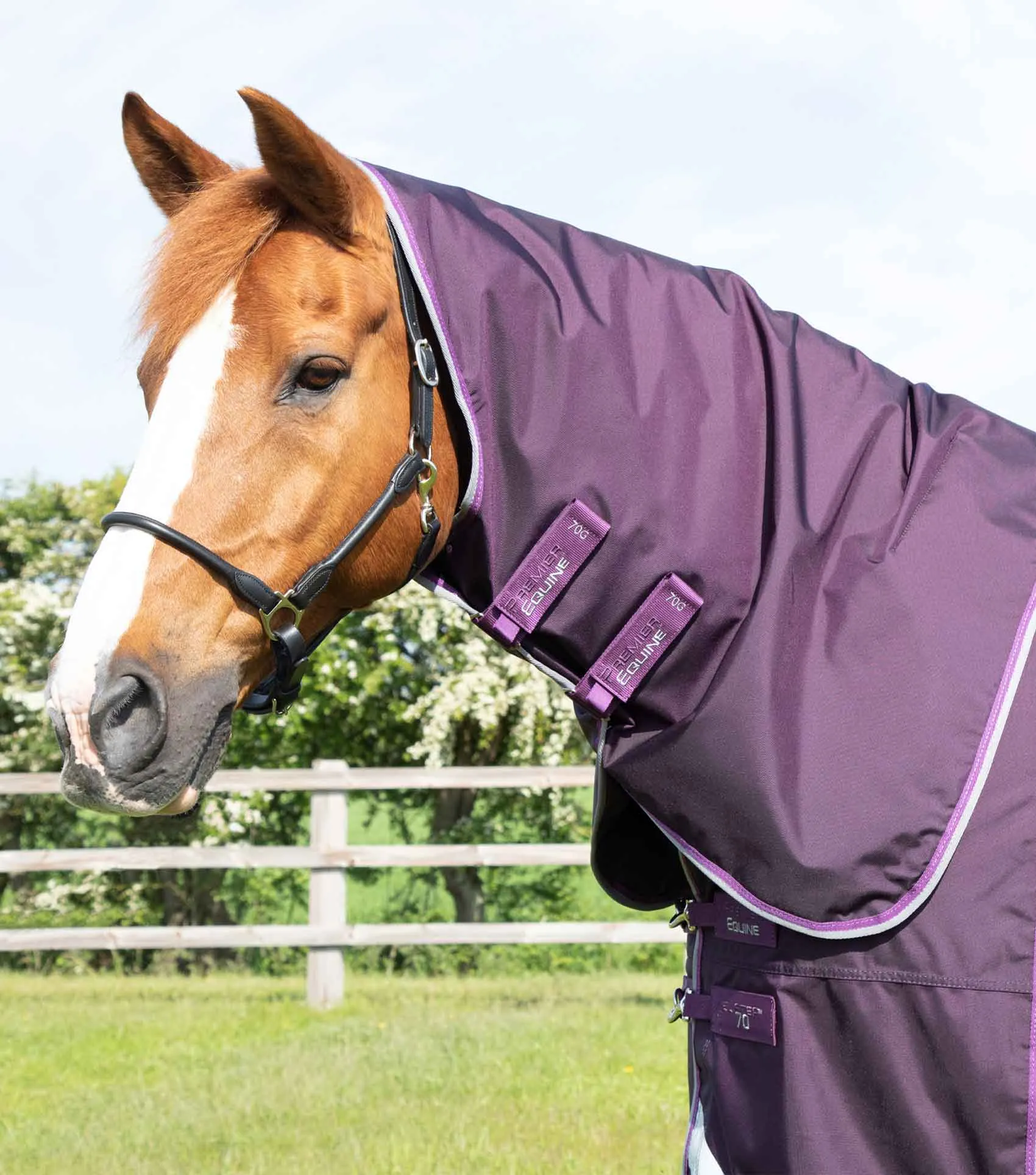 Buster 70g  Classic Neck Cover (70g Fill)