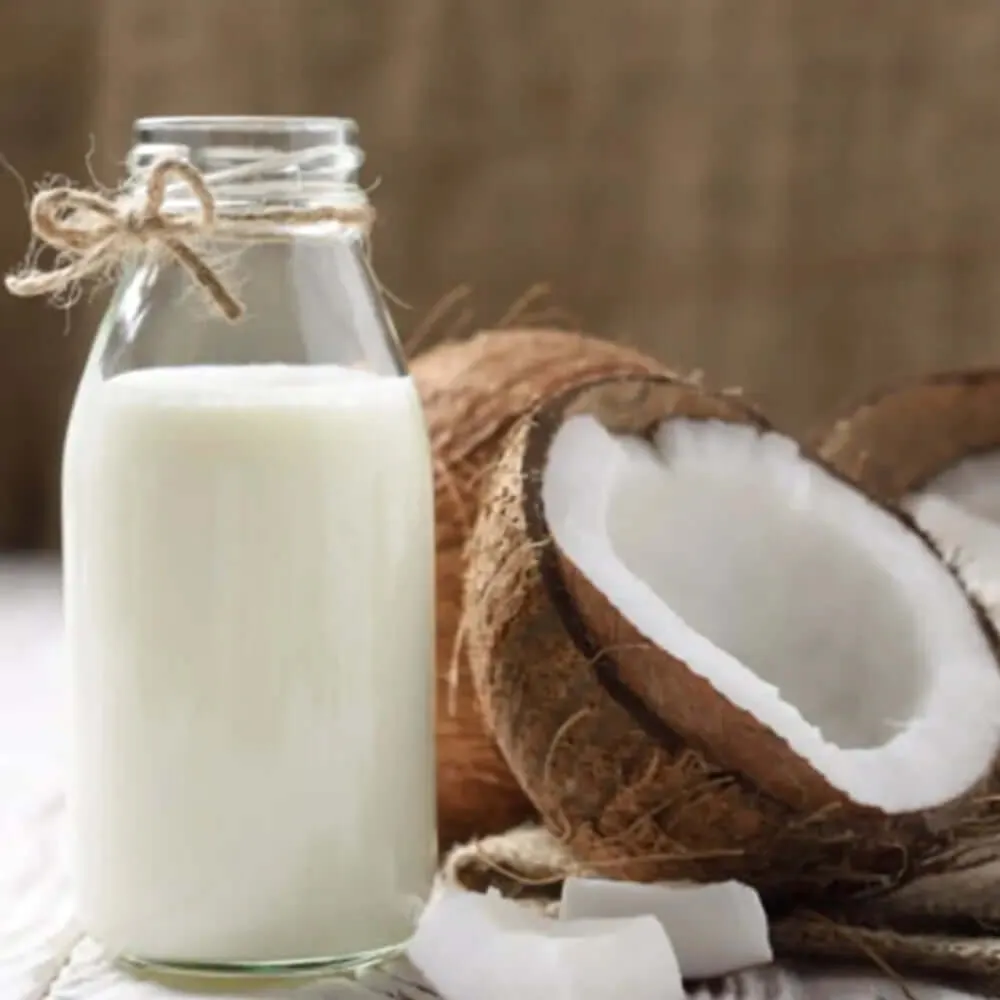 Calming Coconut Scented Coconut Cup Candle