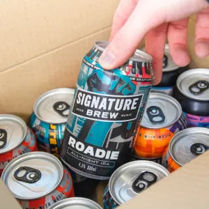 Core Beers Mixed Box - 330ml Cans