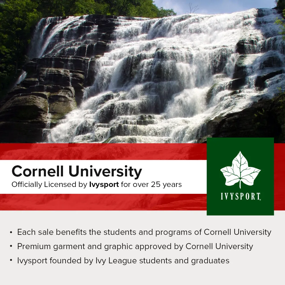 Cornell University Classic Crew Sweatshirt (Charcoal)