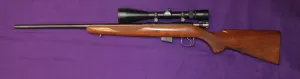 CZ 452 American .17HMR