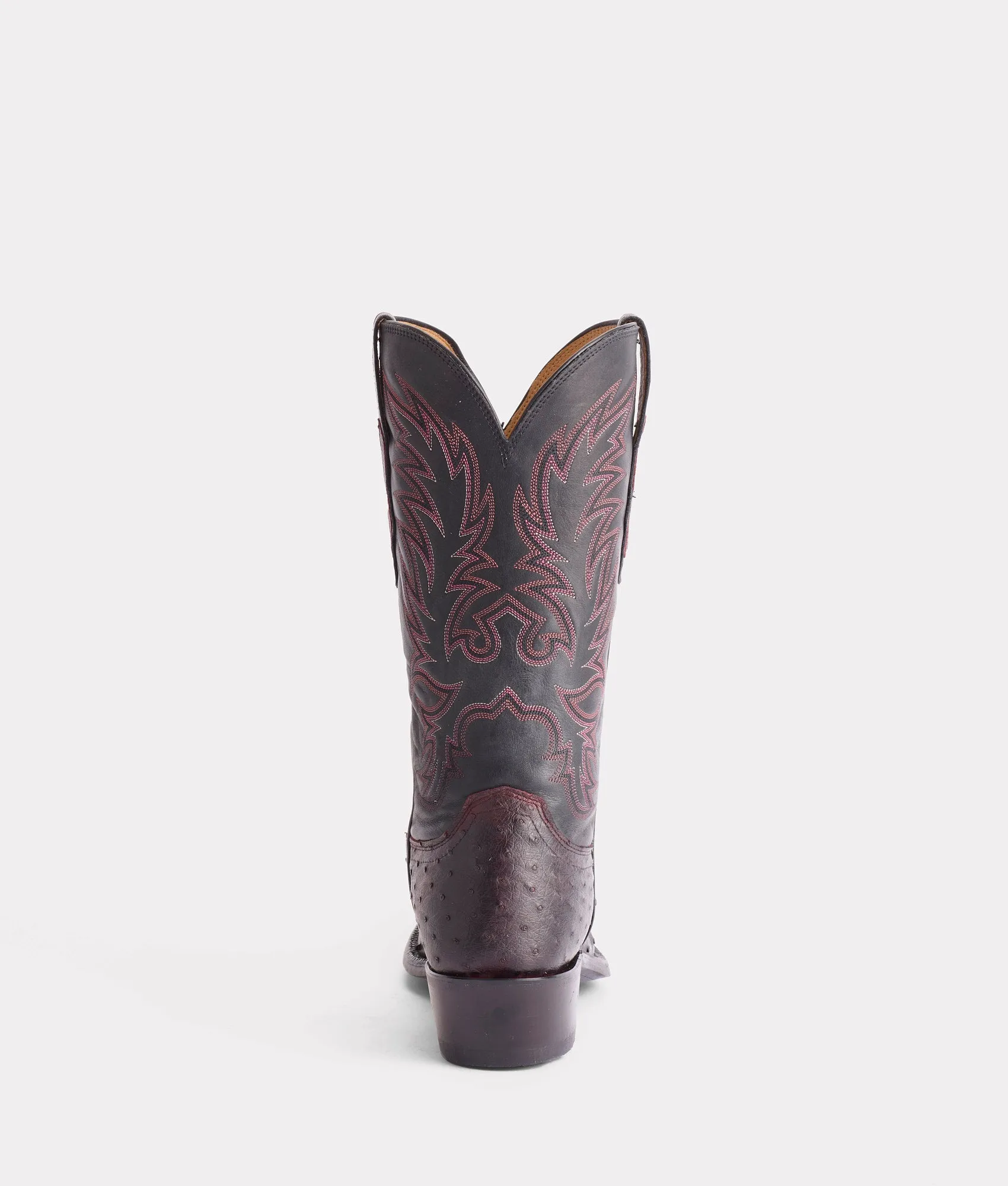 Elgin :: Black Cherry   Black