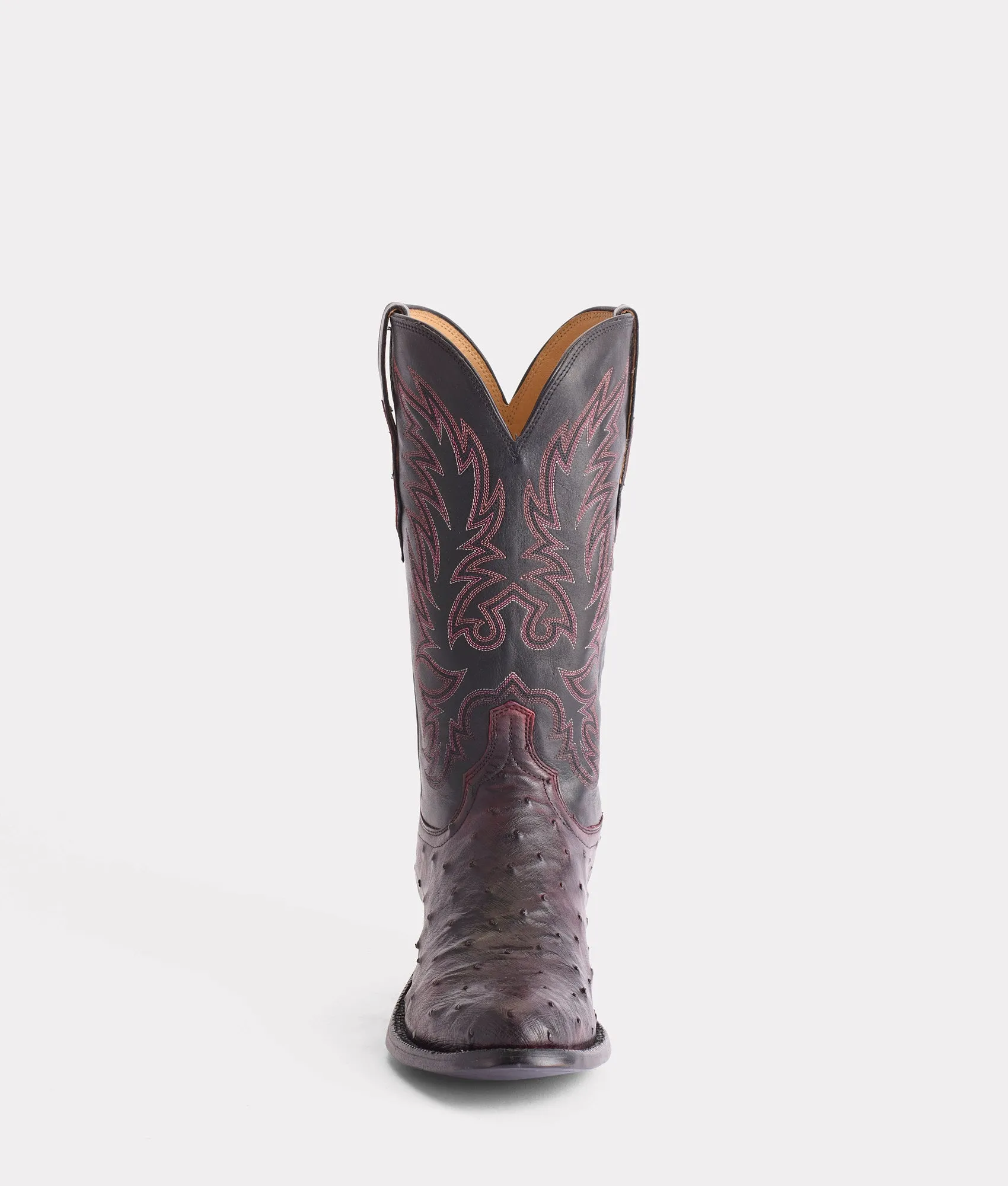 Elgin :: Black Cherry   Black