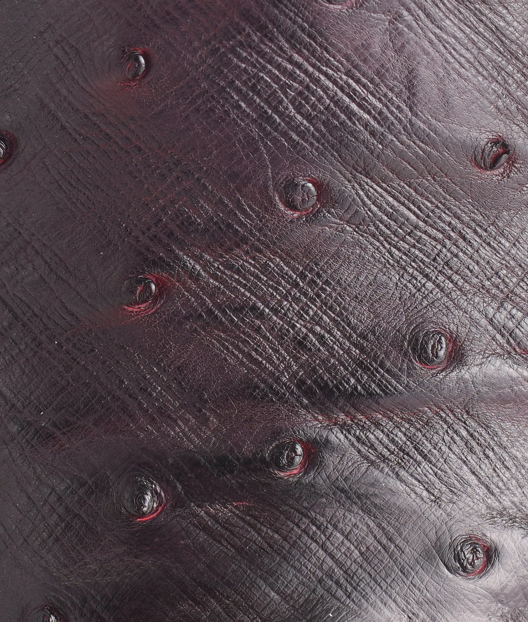 Elgin :: Black Cherry   Black