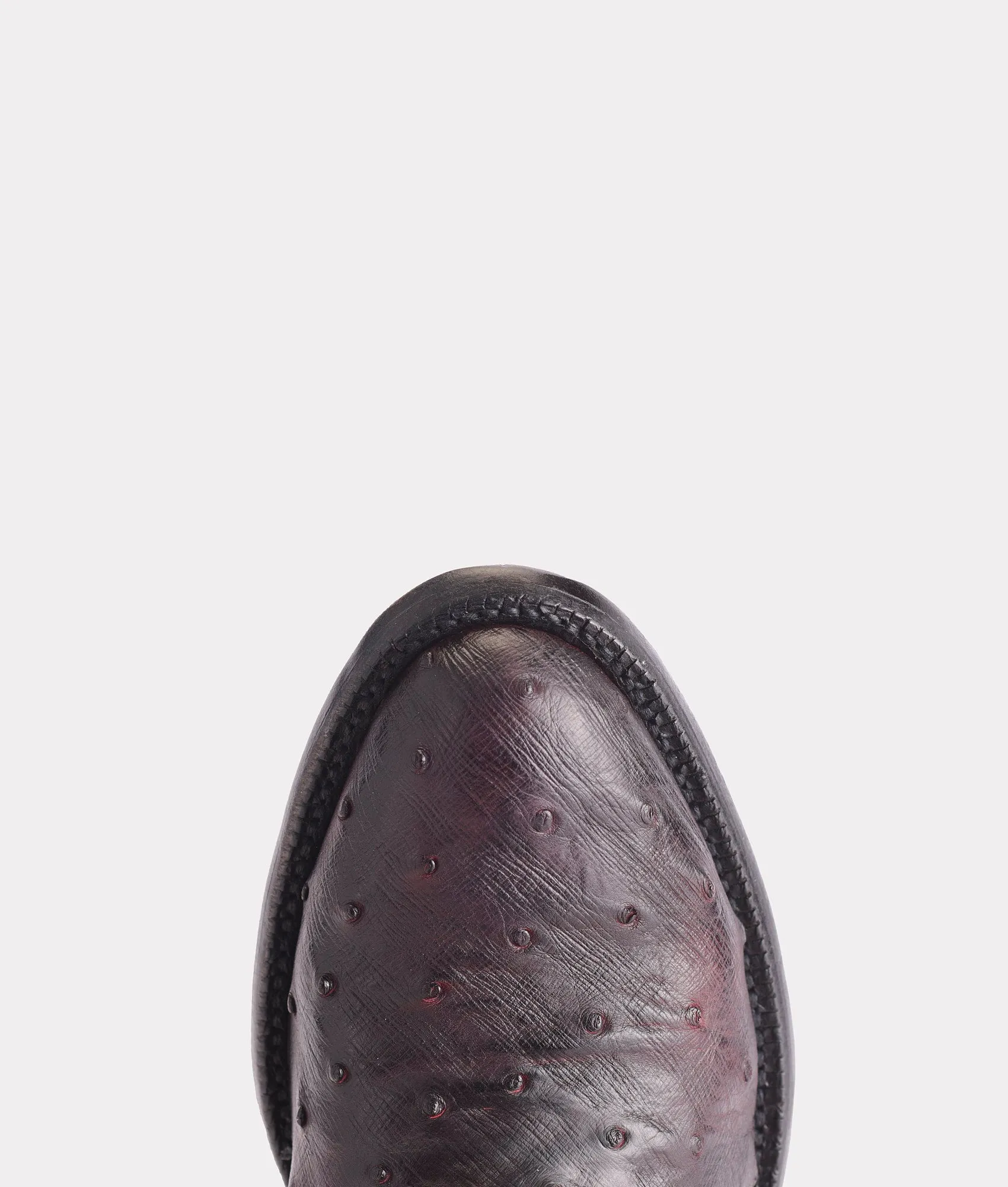 Elgin :: Black Cherry   Black