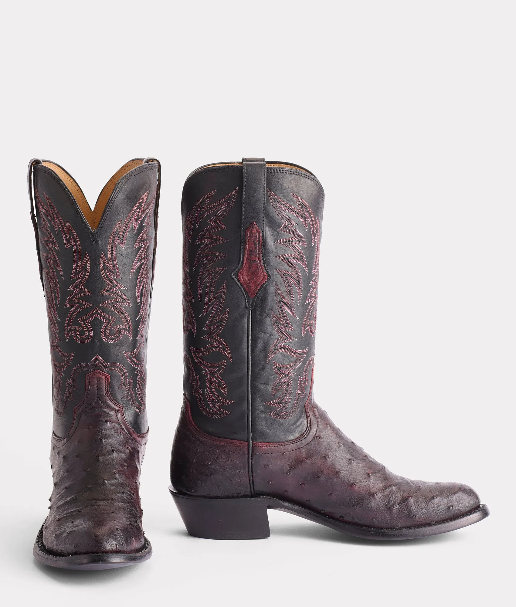 Elgin :: Black Cherry   Black
