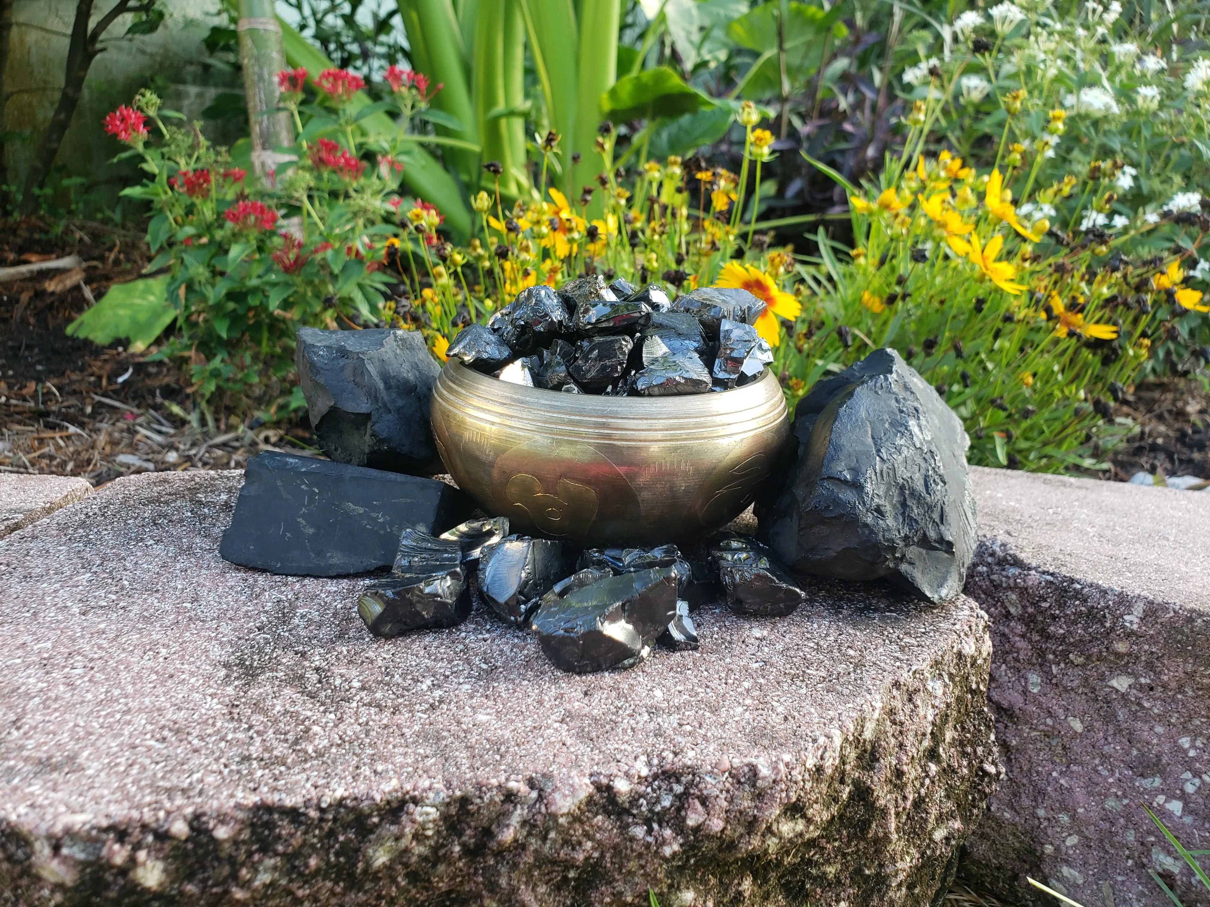 Elite Shungite Rocks for Water Purification
