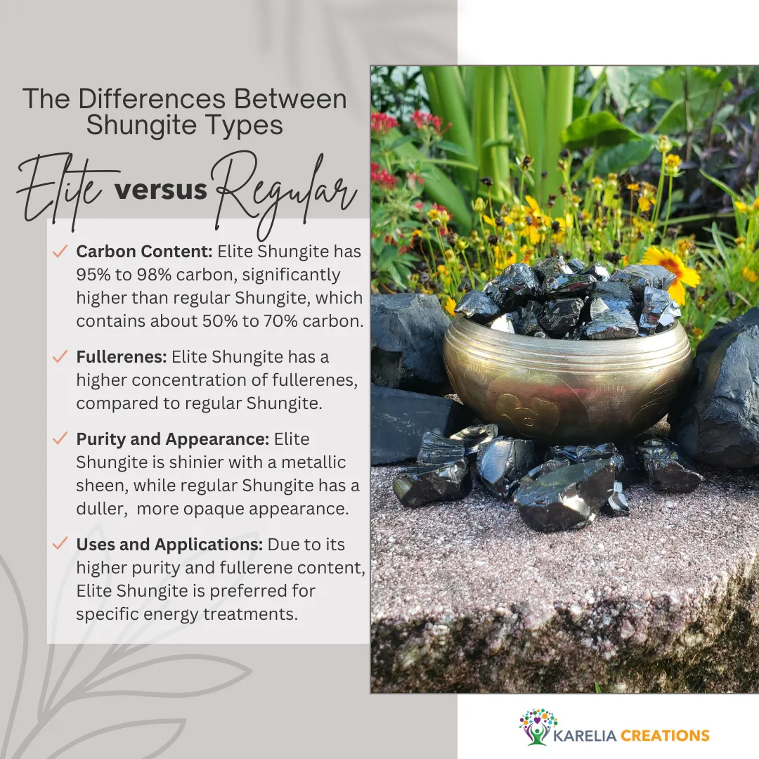 Elite Shungite Rocks for Water Purification