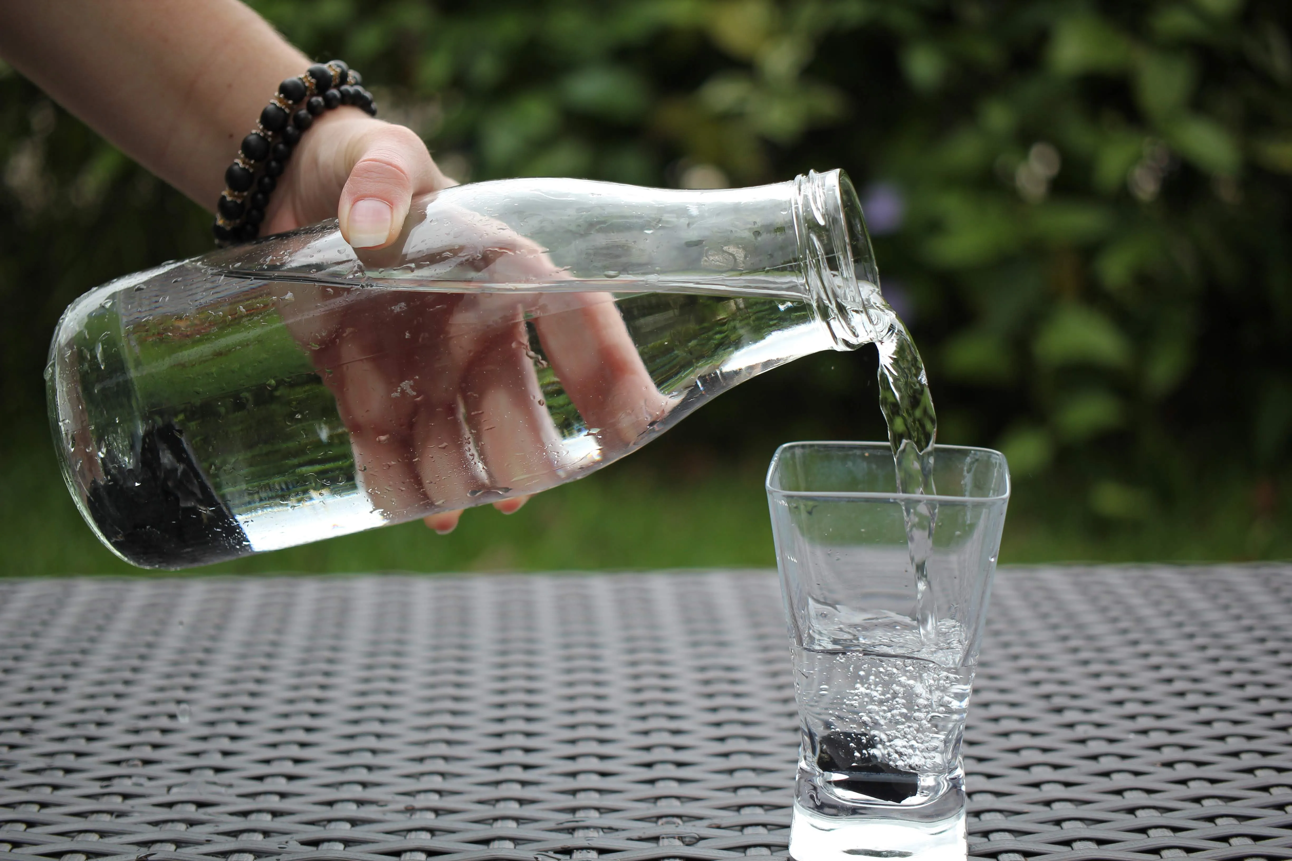 Elite Shungite Rocks for Water Purification