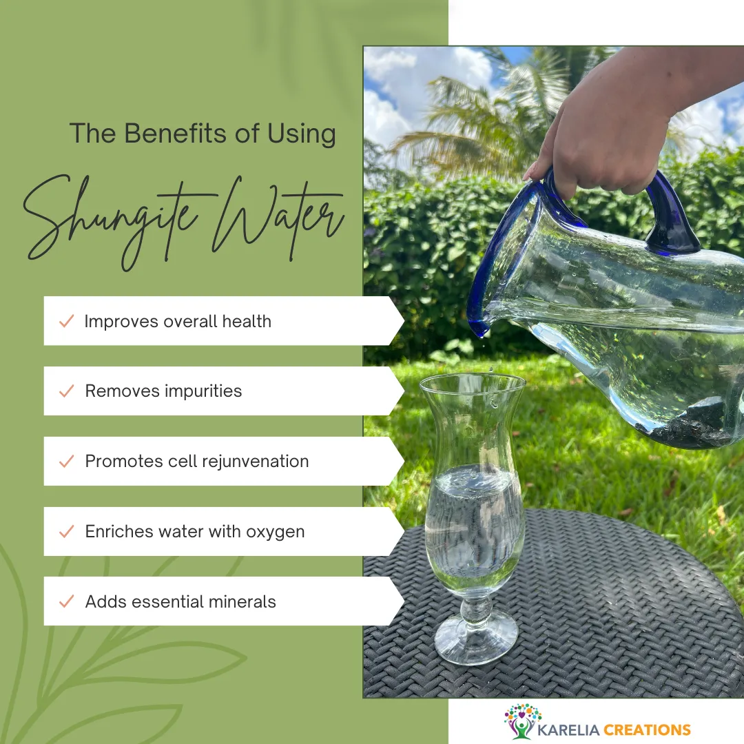 Elite Shungite Rocks for Water Purification