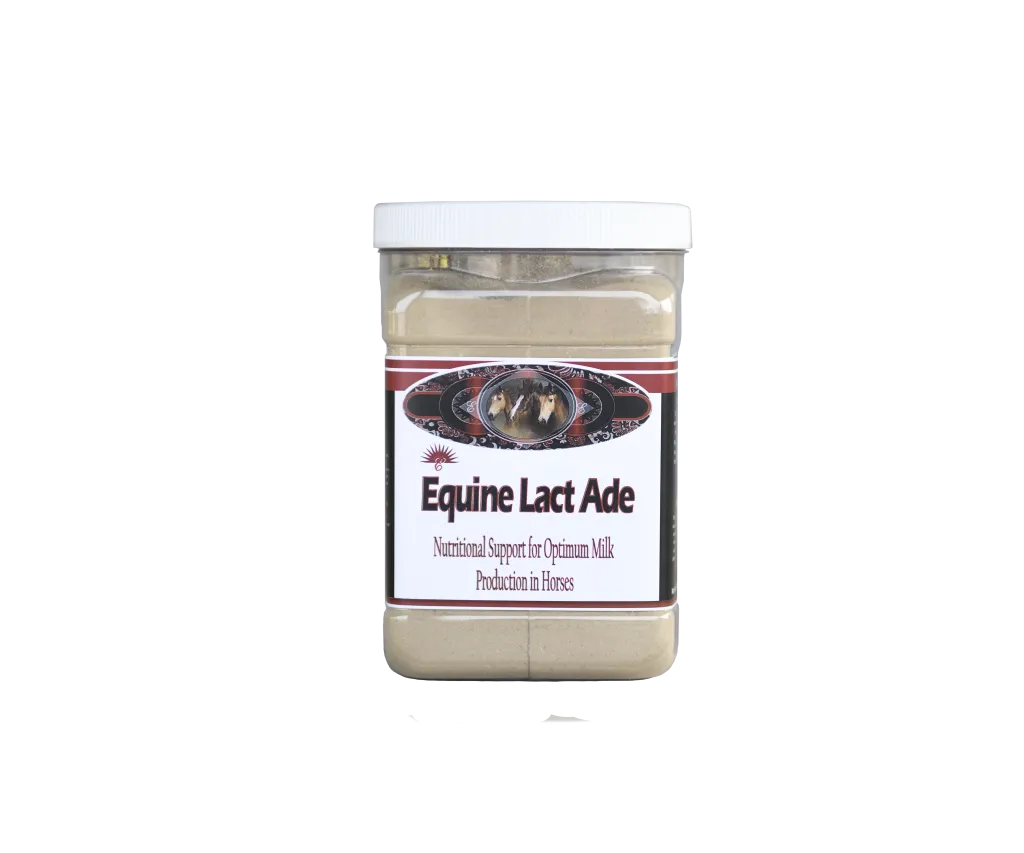 Equine Lactade