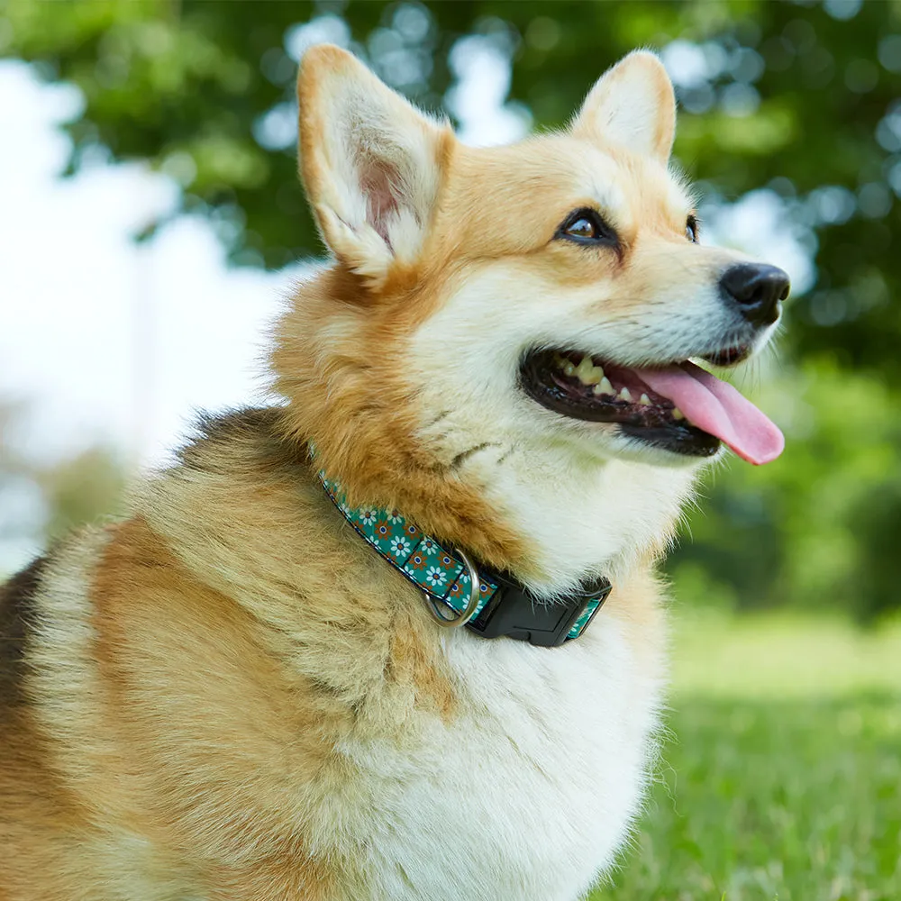 Florence Blue - Dog Collar