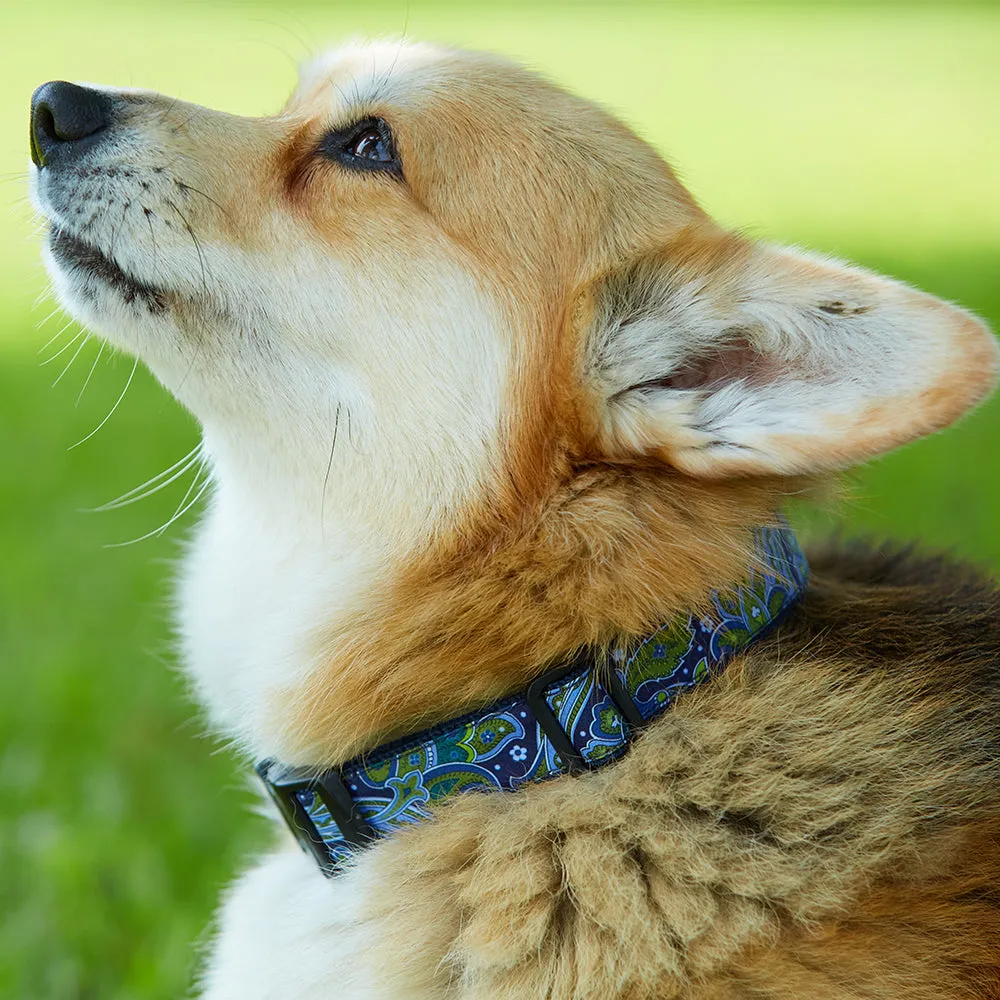 Florence Blue - Dog Collar