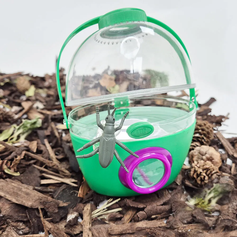 Forest School - Urban Schools Kit