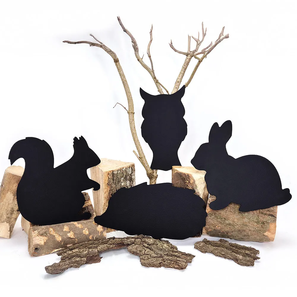 Forest School - Urban Schools Kit