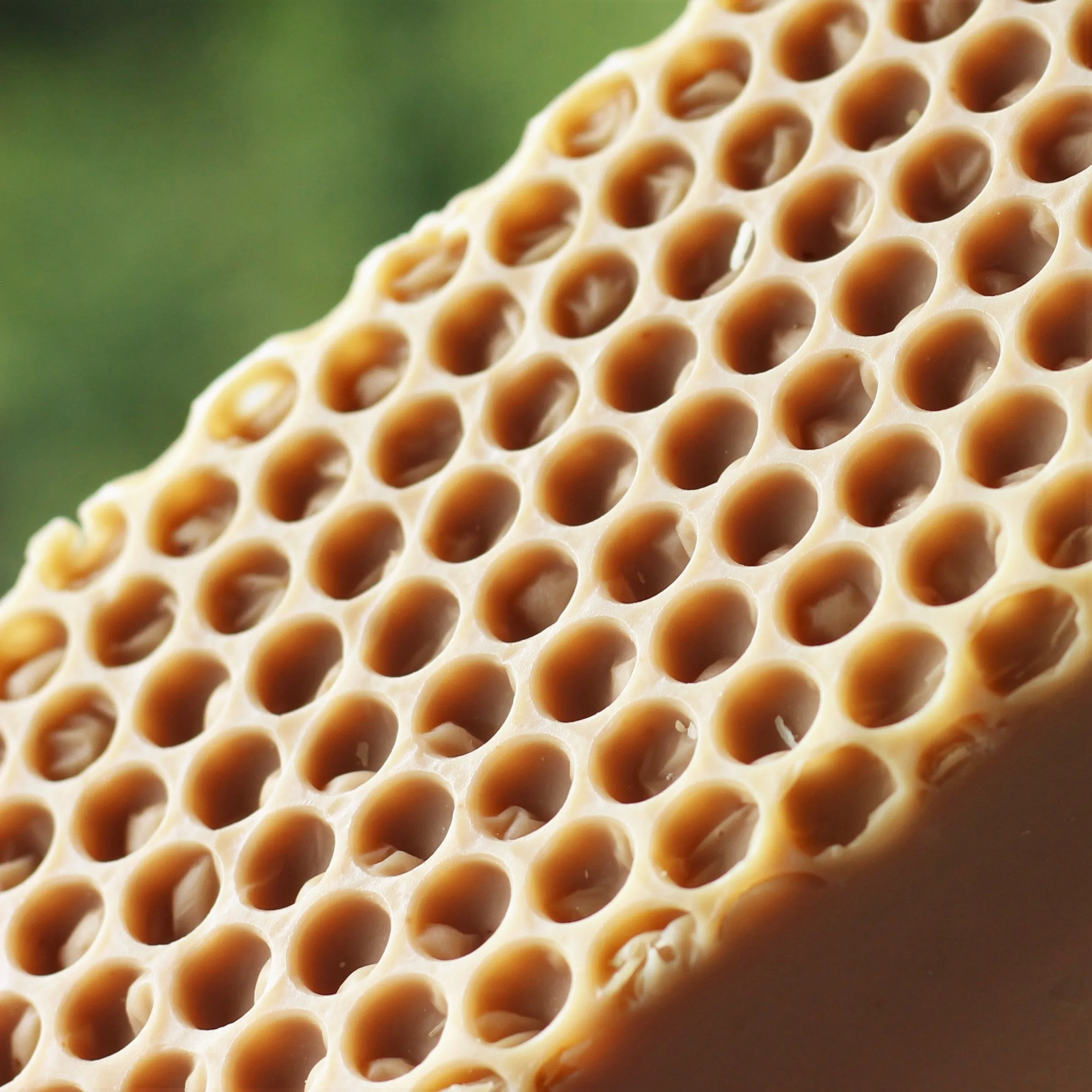Goatmeal Honey Handmade Soap