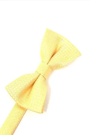 Harvest Maize Regal Kids Bow Tie