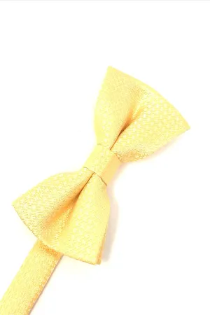 Harvest Maize Regal Kids Bow Tie