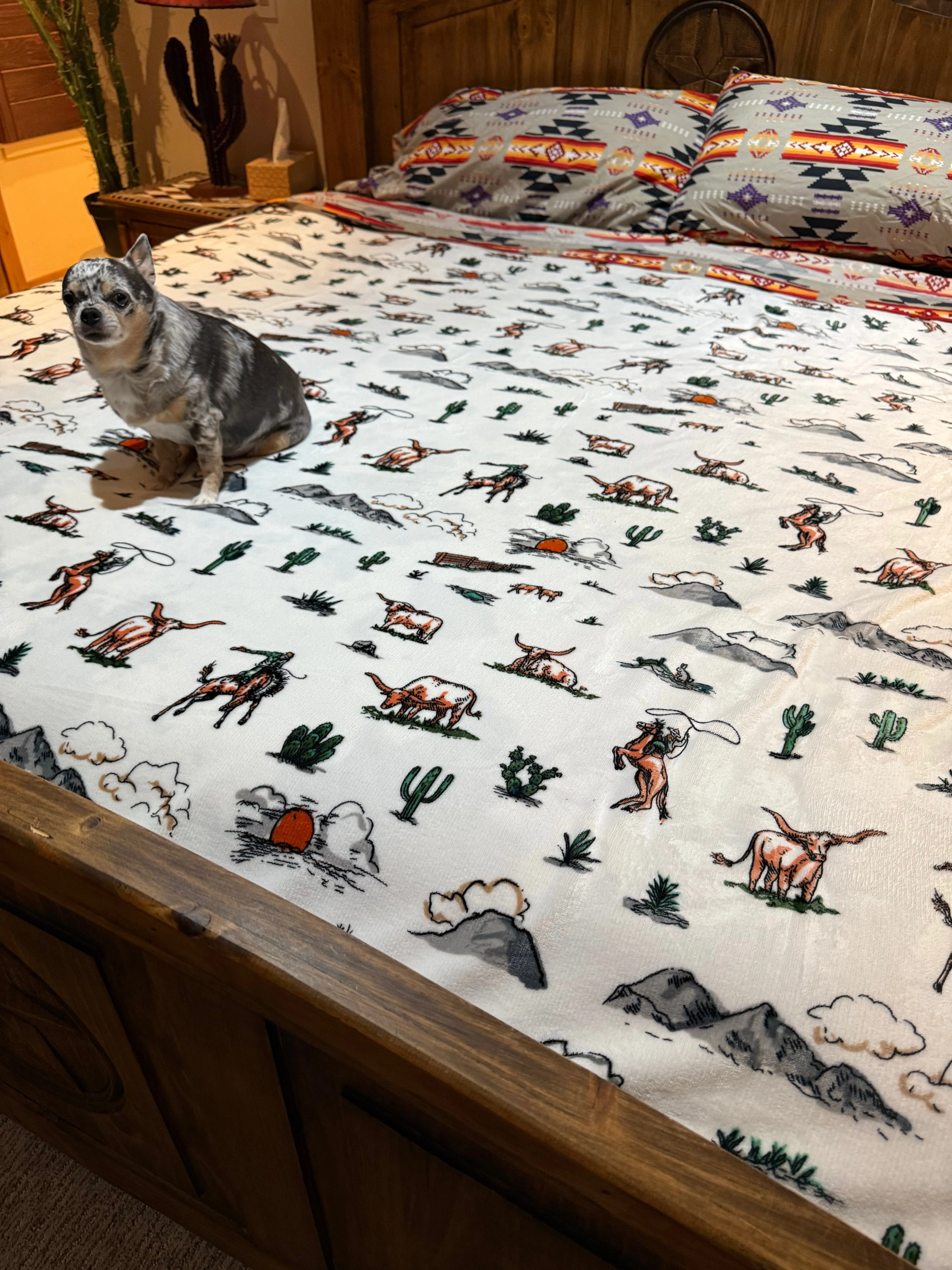 HUGE King Southwest LUXURY flannel BLANKET