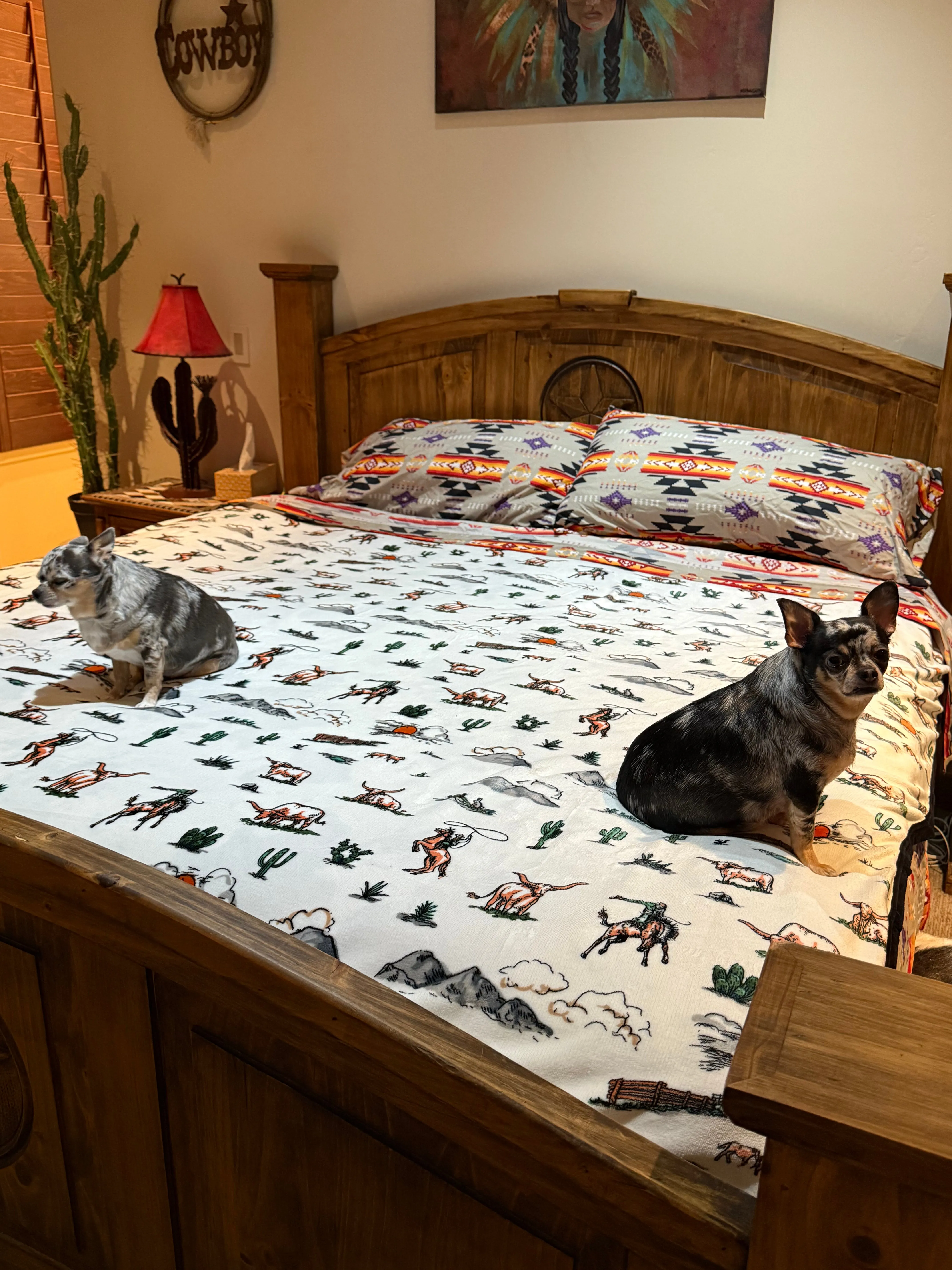 HUGE King Southwest LUXURY flannel BLANKET