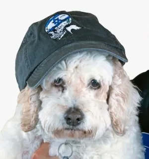 Israel Skeleton Hat
