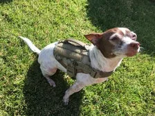KILONINER COMPACT K9 TACTICAL MOLLE DOG VEST XX-SMALL
