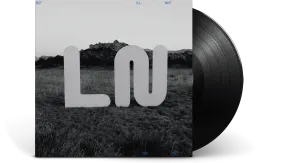 Local Natives : But I'll Wait For You