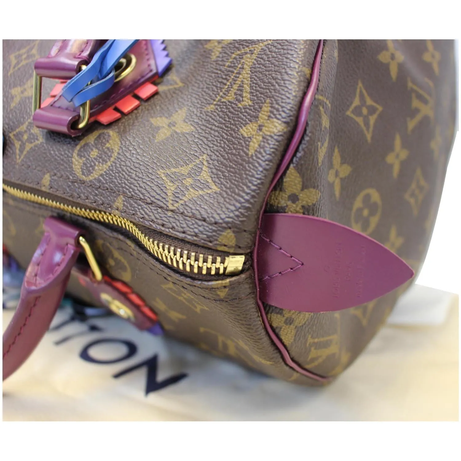 LOUIS VUITTON Totem Speedy 30 Monogram Canvas Satchel Bag