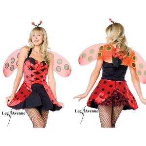 Lovely Ladybug Hire