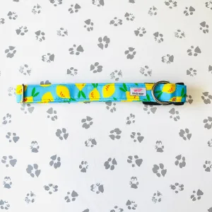 Lovely Lemons Collar