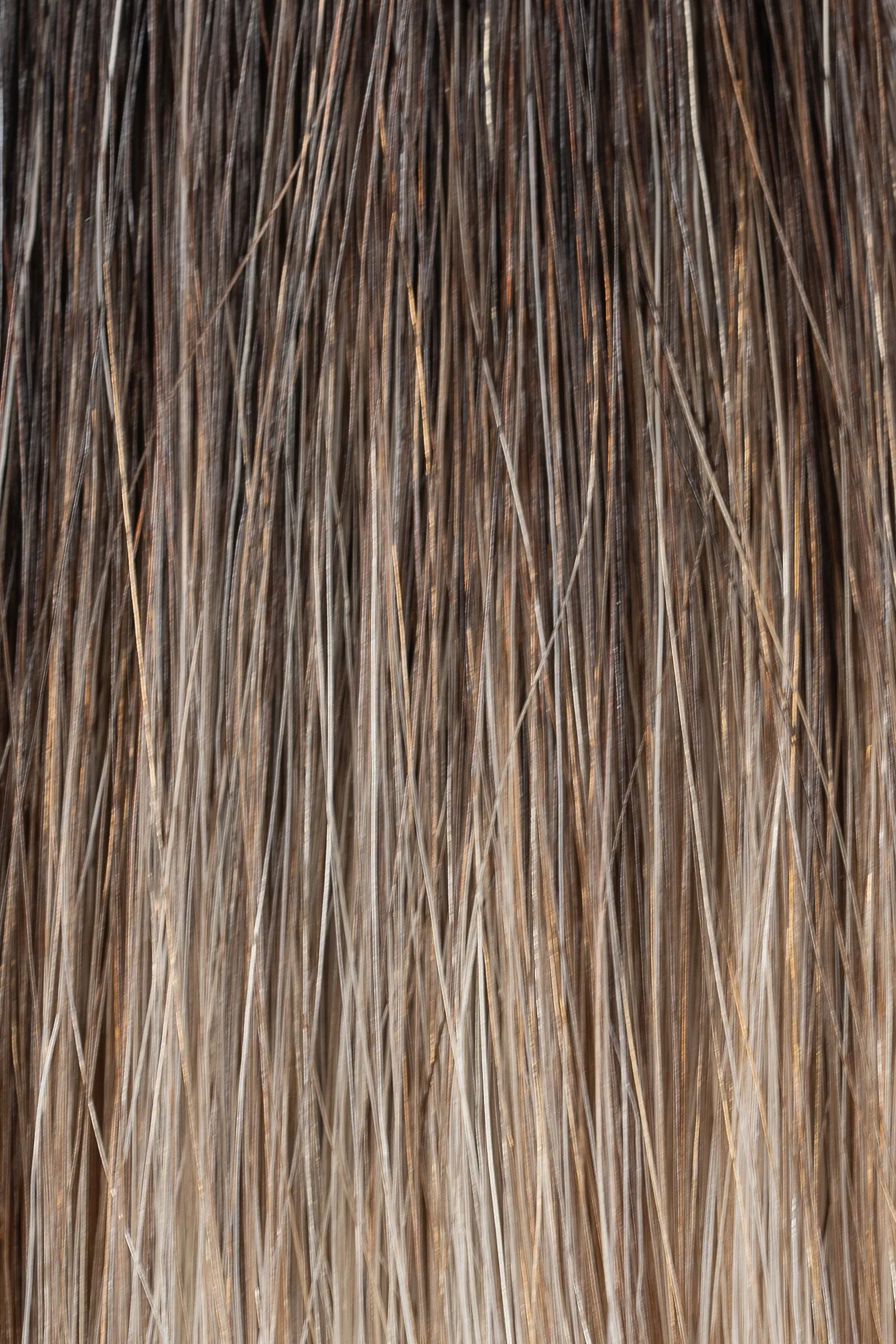 Luxury Extensions #4/8 24