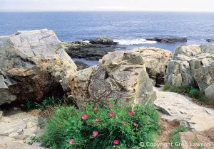 Maine