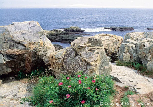 Maine
