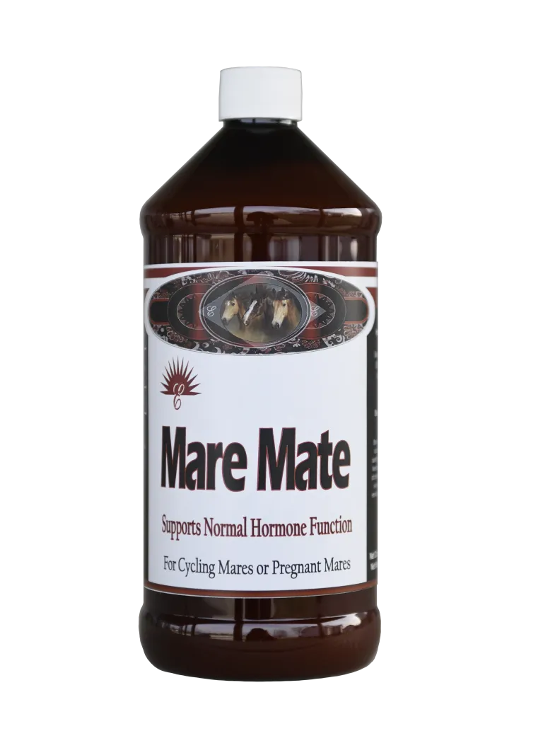 Mare Mate